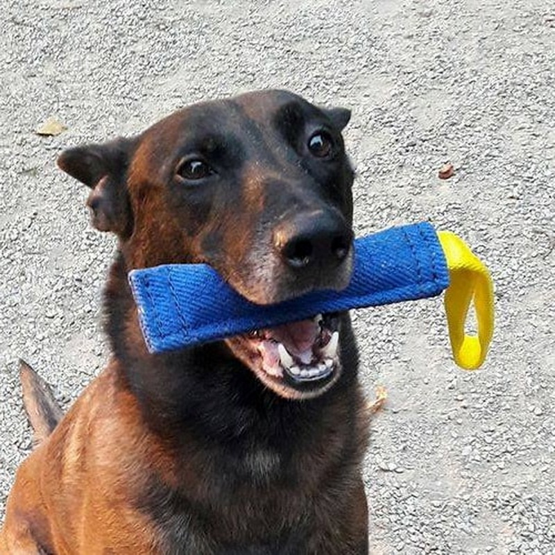 Короткая кусалка из french linen «Agility Training» для малинуа